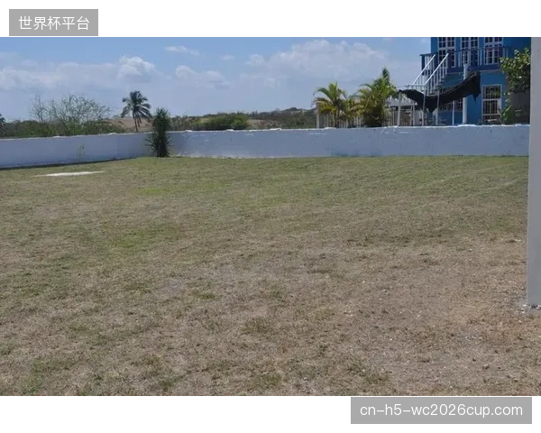 赫斯卡斯重伤打乱防线部署，墨西哥右路攻防一体化战术面临严峻考验。